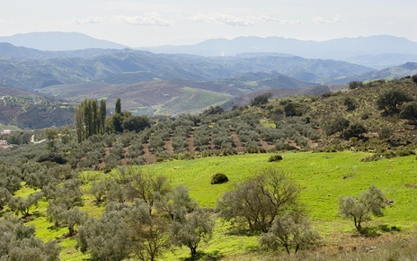 Inland Malaga: Antequera region countryside